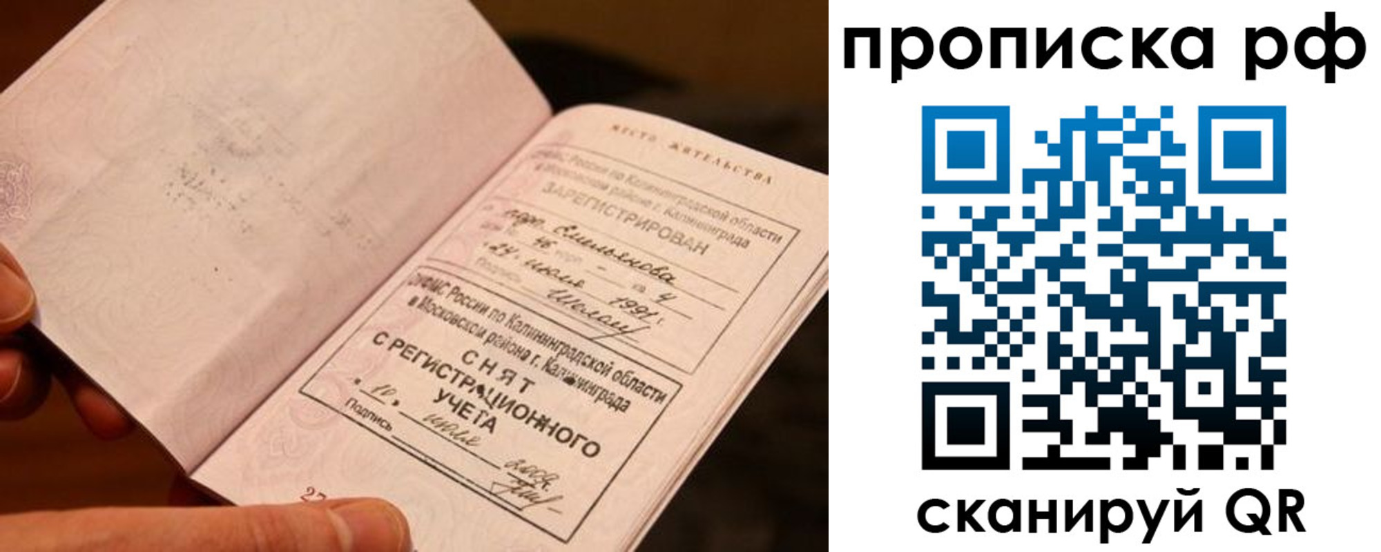 прописка гарантия в Дальнегорске